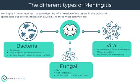 is viral meningitis infectious
